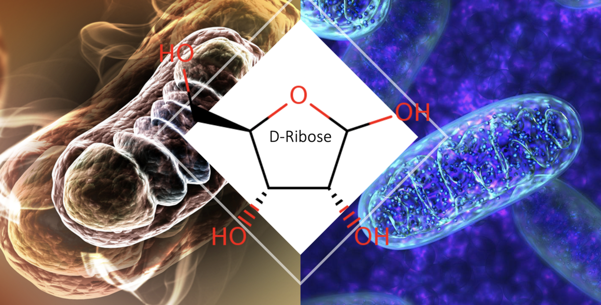Benefits of D-Ribose
