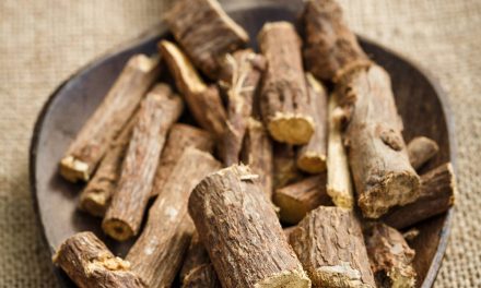 The antiviral and antimicrobial activities of licorice, a widely-used Chinese herb