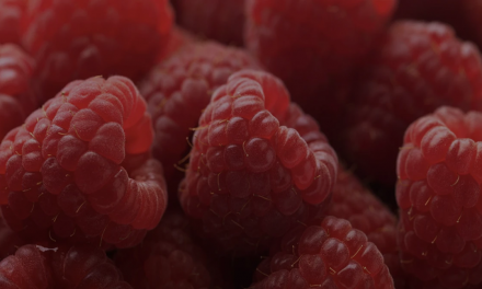 Benefits of Raspberry Ketones
